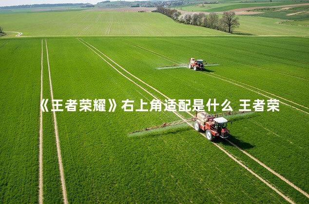 《王者荣耀》右上角适配是什么 王者荣耀右上角图标